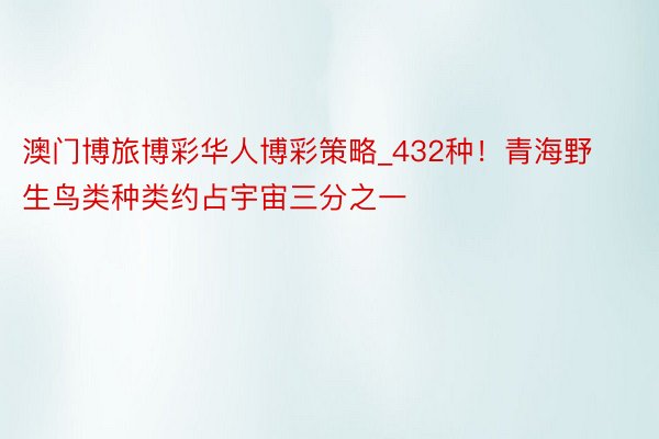 澳门博旅博彩华人博彩策略_432种！青海野生鸟类种类约占宇宙三分之一